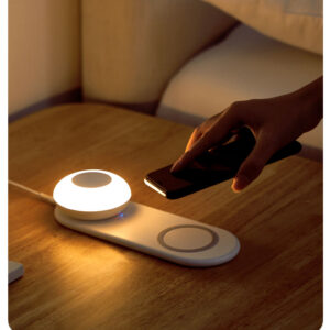 Wireless Charger with a Portable Magnetic LED Ball